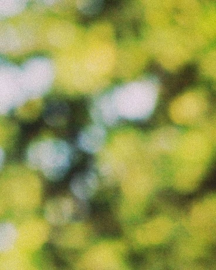 Soft green light through leaves